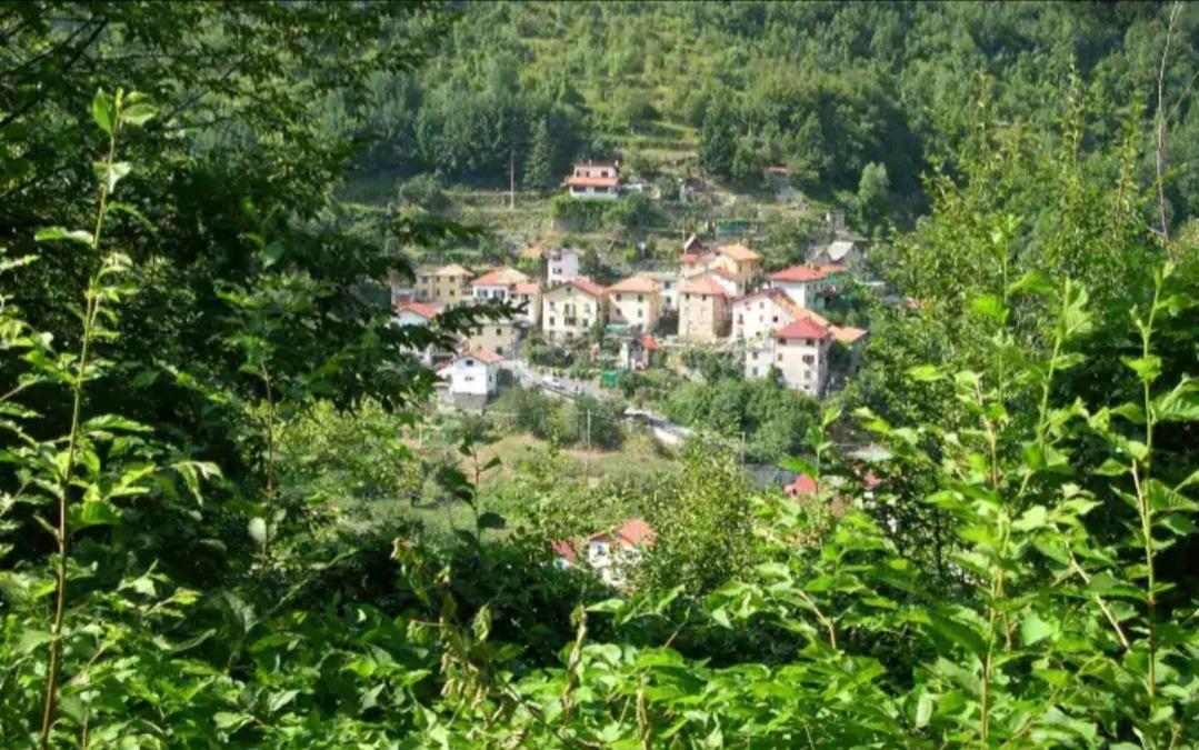 Il Non Ti Scordar Di Me Villa Valbravenna Dış mekan fotoğraf