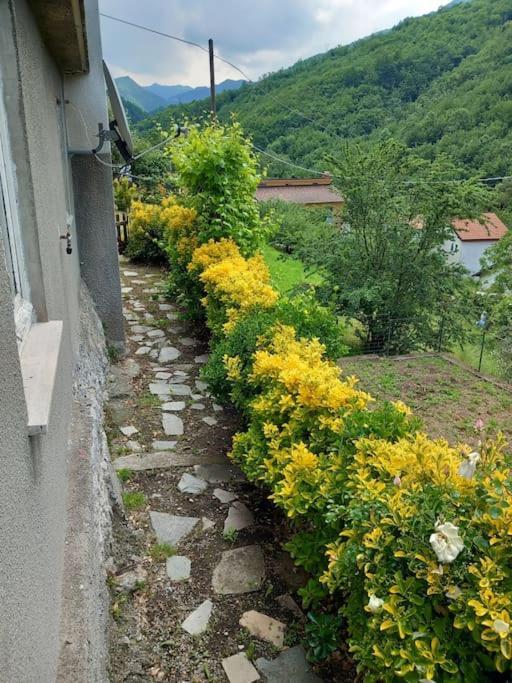 Il Non Ti Scordar Di Me Villa Valbravenna Dış mekan fotoğraf